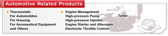 Automotive Related Products